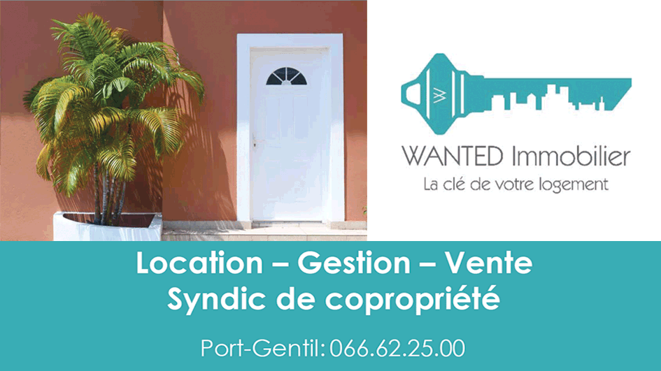 WANTED Immobilier